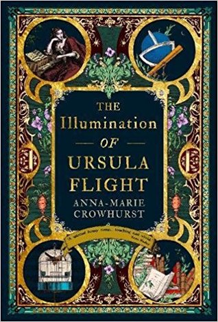 The Illumination of Ursula Flight (Hardcover)