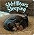 Shh! Bears Sleeping