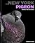 The New York Pigeon: Behind the Feathers
