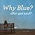 Por que azul/Why Blue (Xist Kids Bilingual Spanish English)