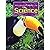 Our Solar System, Support Reader Level 3 Chapter 9, 6pk: Houghton Mifflin Science (Hm Science 2006)