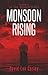 Monsoon Rising (The Nomad #1)