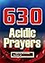 630 Acidic Prayers: Missile...