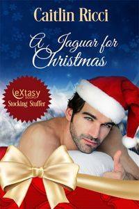 A Jaguar for Christmas (Kindle Edition)