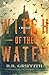 Witch of the Water by B.B. Griffith