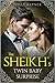 The Sheikh's Twin Baby Surprise (More Than He Bargained For, #1)