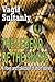 THE LEGEND OF THE SNAKE by Vagif Sultanly
