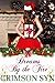 Dreams by the Fire (Synful Holiday Romance, #2)