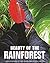 Beauty of the Rainforest: Discover the Magic of These Amazing and Precious Habitats