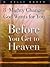 BEFORE YOU GET TO HEAVEN - ...