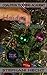 Holiday with an Assassin (Coalition Training Academy #3)