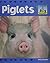 Piglets (Baby Animals)