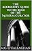 The Beginner's Guide to the Role of the Museum Curator (Life at a Museum Book 1)