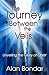 The Journey Between the Vei...