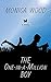 The One-in-a-million Boy (Wheeler Large Print Book Series)