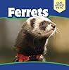 Ferrets (Our Weird Pets)