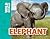Elephant (Wild World)