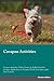 Cavapoo Activities Cavapoo ...