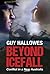 Beyond Icefall by Guy Hallowes