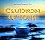 Cauldron of Song by Phyllida Anam-Aire