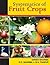 Systematics of Fruit Crops