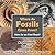 Where Do Fossils Come from? How Do We Find Them? Archaeology for Kids - Children's Biological Science of Fossils Books