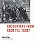 Encounters from Dada till T...