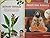 Swami Ramdev 3 Book Set (Yo...