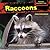 Raccoons (Scavengers: Eating Nature's Trash)