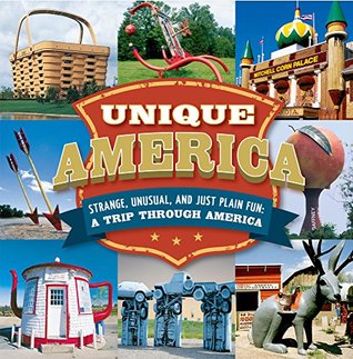 Unique America strange, unusual, and just plain fun: A trip through America (Hardcover)