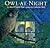 Owl at Night