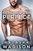 Something So Perfect (Something So, #2)