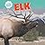 Elk (North America's Biggest Beasts)