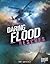 Daring Flood Rescues