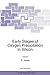 Early Stages of Oxygen Precipitation in Silicon: 3 (closed)) (NATO Science Partnership Subseries: 3)