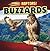 Buzzards by Henry Abbott