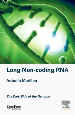 Long Non-coding RNA: The Dark Side of the Genome (Hardcover)