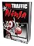 Pin Traffic Ninja 2.0: How ...