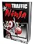 Pin Traffic Ninja 2.0 by James Rich