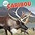 Caribou (North America's Biggest Beasts)