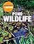 Pond Wildlife (Adventures in Nature)