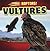 Vultures (Raptors!)