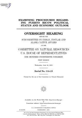 Examining Procedures Regarding Puerto Rico's Political Status and Economic Outlook: Oversight Hearing Before the Subcommittee on Indian, Insular and Alaska Native Affairs of the Committee on Natural Resources, U.S. House of Representatives, One Hundred F