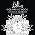 The Asylum Coloring Book Volume 1 by Emilie Autumn