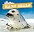 Harp Seals (Ocean Friends)