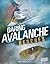 Daring Avalanche Rescues