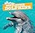 Bottlenose Dolphins (Ocean Friends)