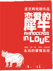 Rhinoceros in Love (ebook)