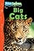 Big Cats (Nature Explorers)