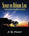 Sunset on Belmore Lane: Echoes from the Streets of Life Sunset on Belmore Lane: Echoes from the Streets of Life
